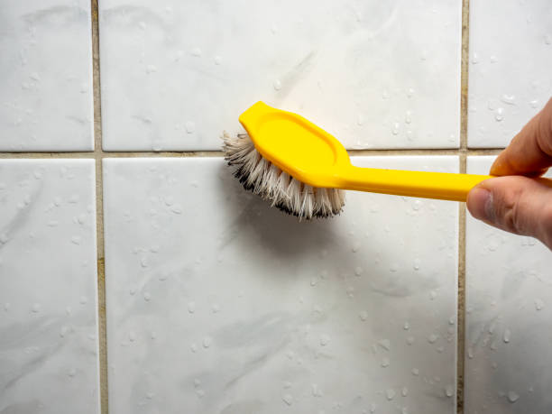 Best Localized Mold Remediation (e.g., coastal areas, humid climates) in Greenvle, IL